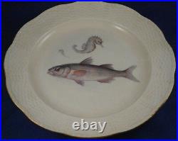 12 Antique KPM Berlin Porcelain Fish Scene Plate s Porzellan Teller Fisch Scenic