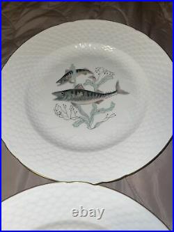 12 Antique KPM Berlin Porcelain Fish Scene Plate s Porzellan Teller Fisch Scenic