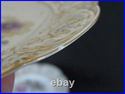 12 KPM Berlin Hand Painted Floral Meadow Molded Gold Scrollwork 10 1/4 Plates