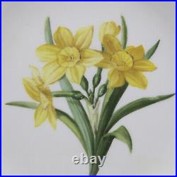 19c KPM Porcelain Hand Painted Daffodil Botanical Floral 8 1/2 Cabinet Plate