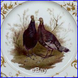 Antique 1830s KPM Königliche German Porcelain Pheasant Painted Rococo Gilt Plate