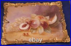 Antique 19thC English or French Porcelain Fruit Still Life Scene Plaque Scenic