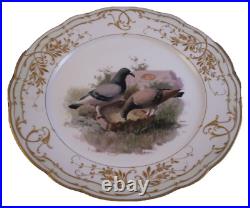 Antique Jugendstil KPM Berlin Porcelain Pigeon Bird Scene Plate Porzellan Teller