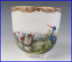 Antique KPM Berlin Cup & Saucer Birds Insects Gold 19th C. German Porcelain #A