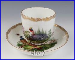 Antique KPM Berlin Cup & Saucer Birds Insects Gold 19th C. German Porcelain #B