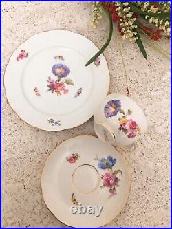 Antique KPM Berlin Hand Painted Floral Butterfly & Gold TeaCup Saucer Plate Trio