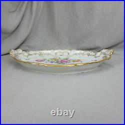 Antique KPM Berlin Hand Painted Flowers & Insects Platter, 16.5L