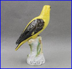 Antique KPM Royal Berlin Porcelain BIG Yellow Bird Oriole Figurine 8 ¼