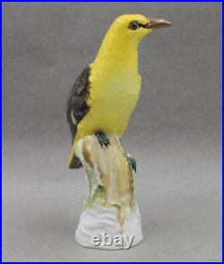 Antique KPM Royal Berlin Porcelain BIG Yellow Bird Oriole Figurine 8 ¼