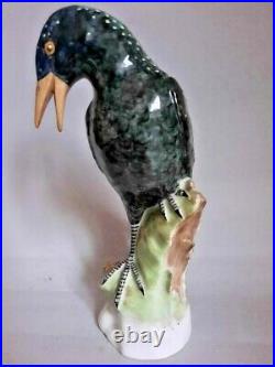 Antique Rare Porcelain figurine Of starling Bird Marked KPM Germany 20th century
