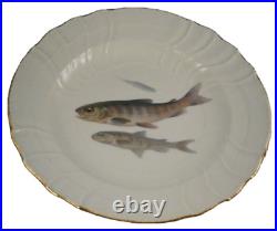Great KPM Berlin Porcelain Trout Fish Scene Plate Porzellan Teller Scenic Fisch
