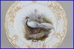 KPM BERLIN GAME BIRD Porcelain PLATE with Raised Gold Border, Pheasant. Antique