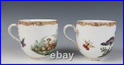 Pair Antique KPM Berlin Cup & Saucer Birds Insects Gold 19th C. German Porcelain