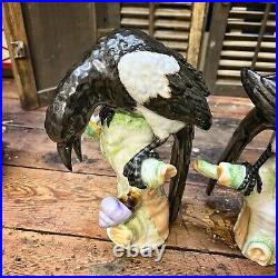 RARE Antique KPM Berlin Porcelain Black-Billed Magpies Birds Figurines Pair Set
