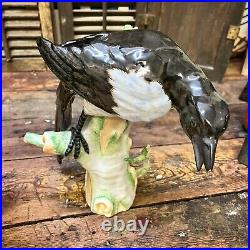 RARE Antique KPM Berlin Porcelain Black-Billed Magpies Birds Figurines Pair Set