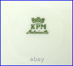 Vintage German Plates KPM Porcelain Gilding Floral Plates 9 pcs Marked